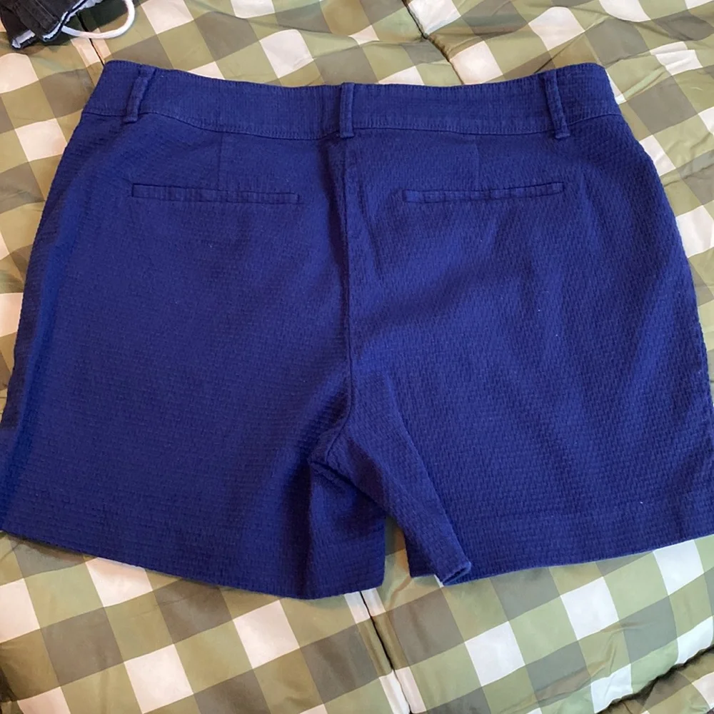 The Limited Navy Blue Textured Women's Shorts